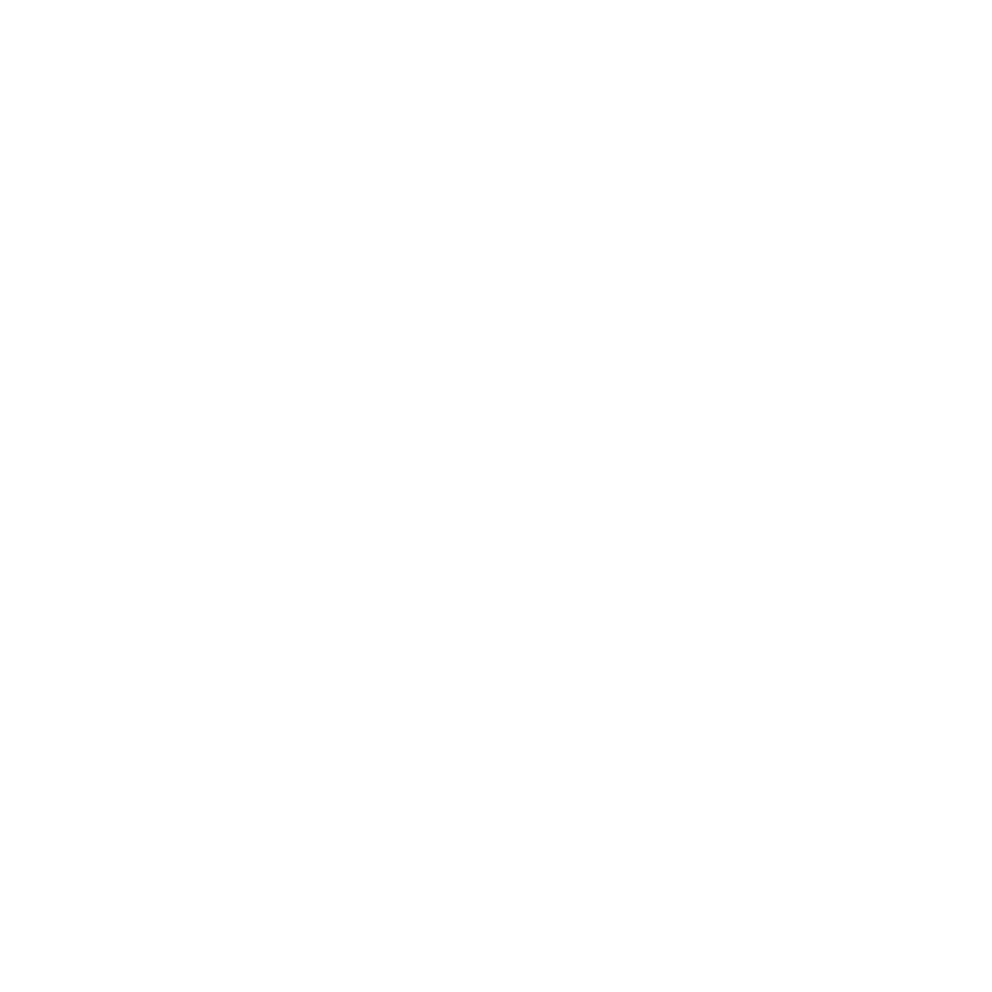 Logo do Socialize Trips na cor branca